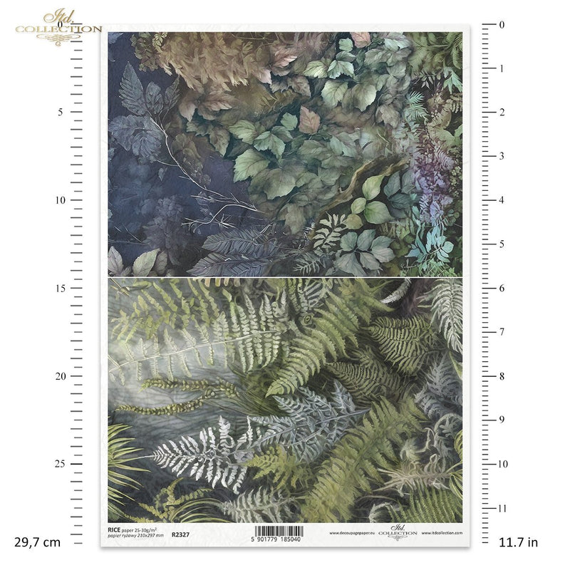 ITD Collection - Mysterious Forest - Rice Paper