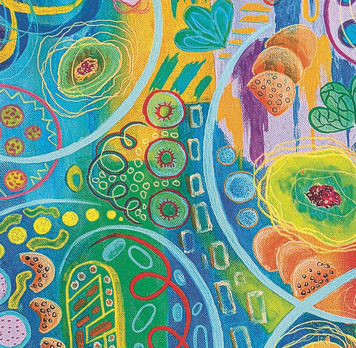 Art & Fable Puzzle Company - Nature Spirals - 1000pc Velvet-Touch Puzzle