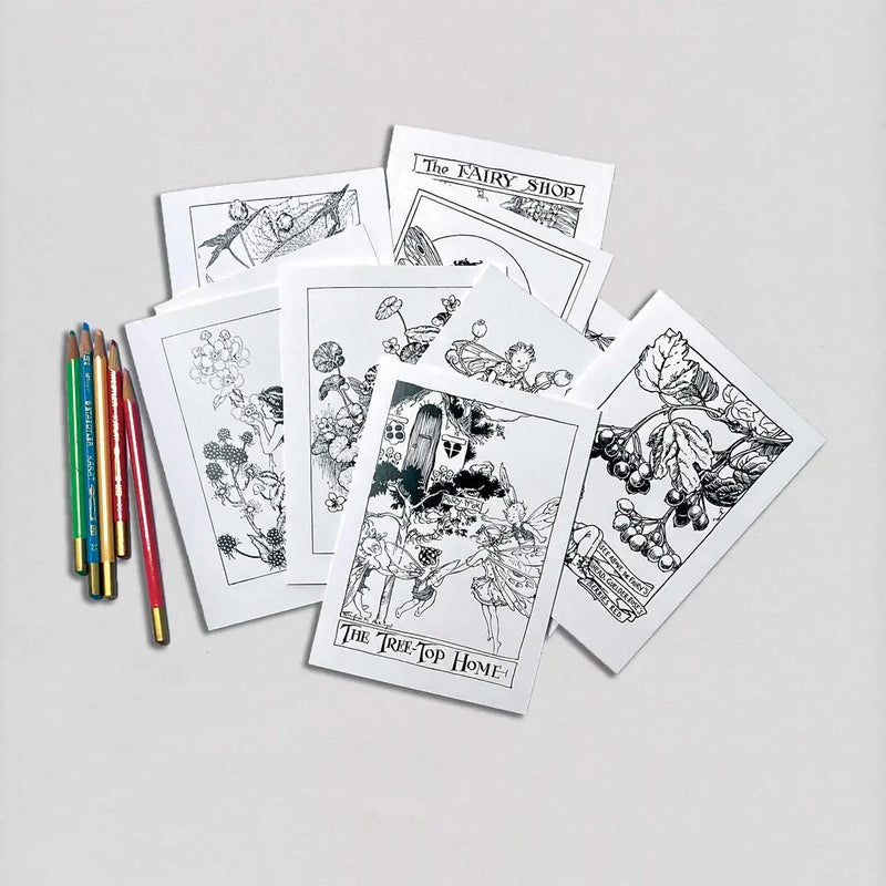 Laughing Elephant - Fairies - Cards to Color Cards