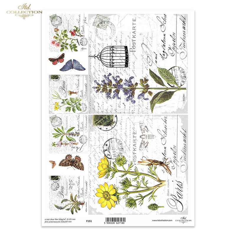 ITD Collection - Clear Film - F151