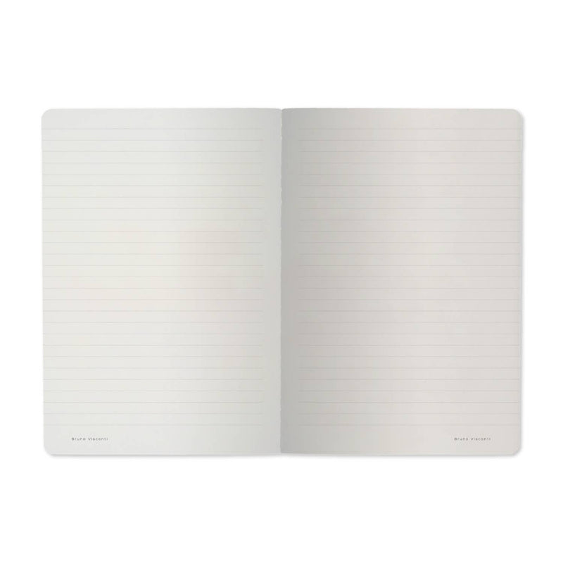 BV by Bruno Visconti - Notebook -  Owlets