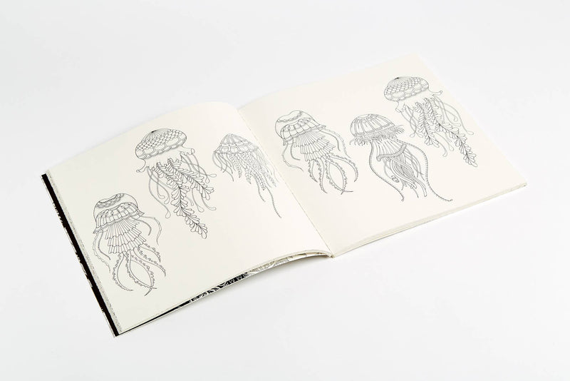 Johanna Basford - Lost Ocean