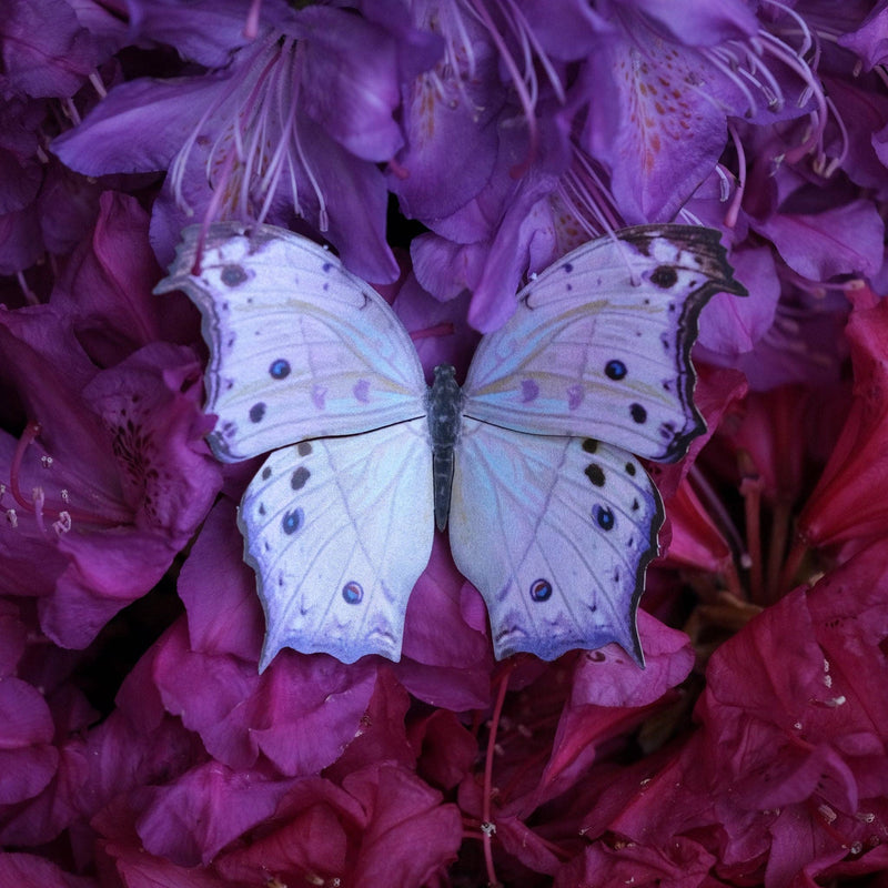 Moth and Myth - Hyacinth Moth Set