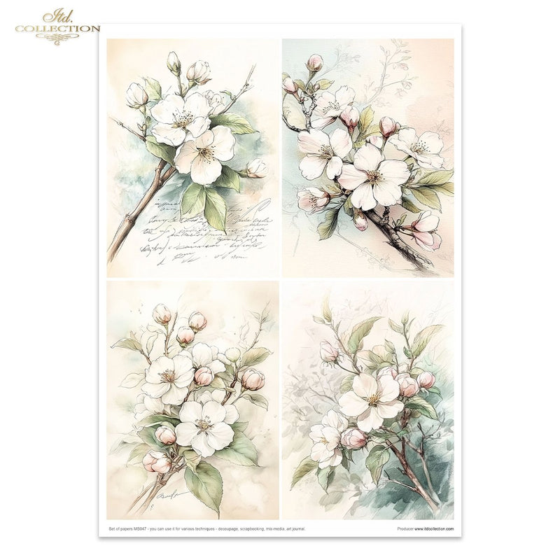 ITD Collection - Cottage in the Country Creative Set