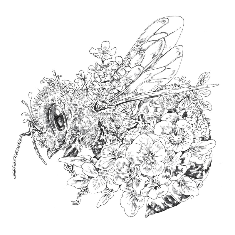 Ken Matsuda - Ecotopia: Color a World of Wonder