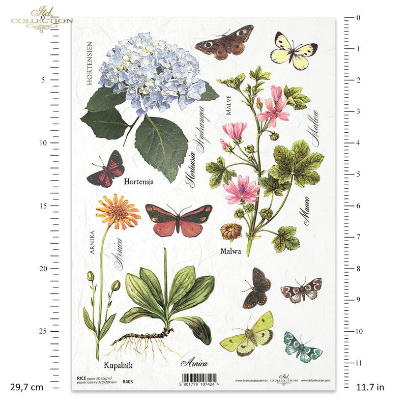 ITD Collection - Herbalist - Rice Paper - R0403