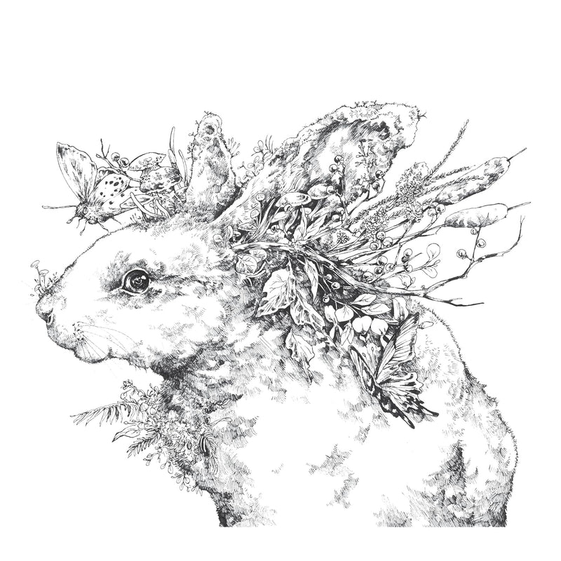 Ken Matsuda - Ecotopia: Color a World of Wonder