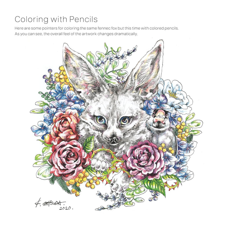 Ken Matsuda - Ecotopia: Color a World of Wonder
