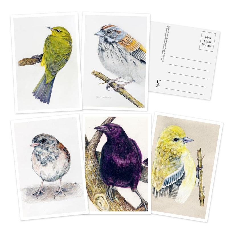 Amy Tann - The Backyard Bird Chronicles - 50 Postcards