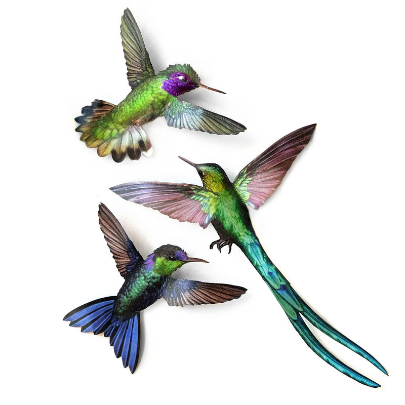 Moth and Myth - 'Sylph' Hummingbird Set