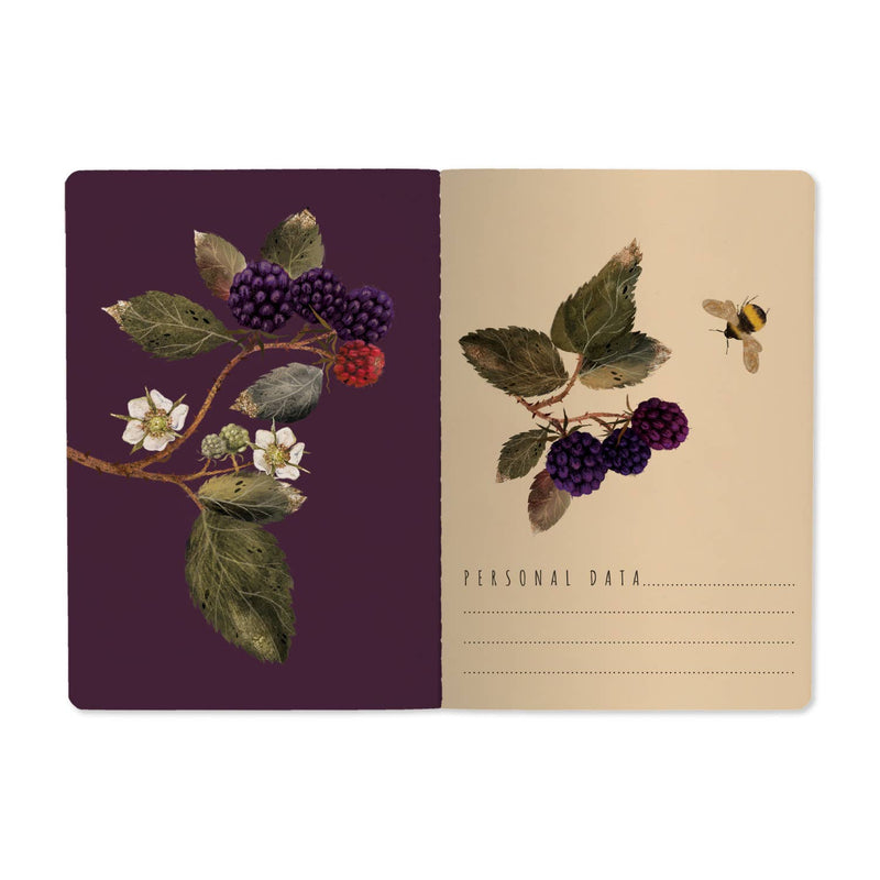 BV by Bruno Visconti - Wild Blackberry