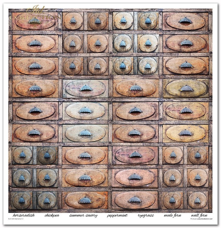 ITD Collection - Herbarium 2 Scrapbooking Papers