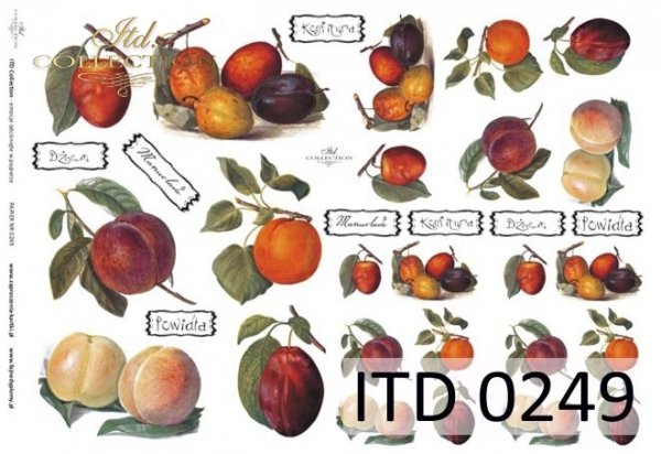 ITD Collection - Peaches, Apricots, Plums - Classic Paper
