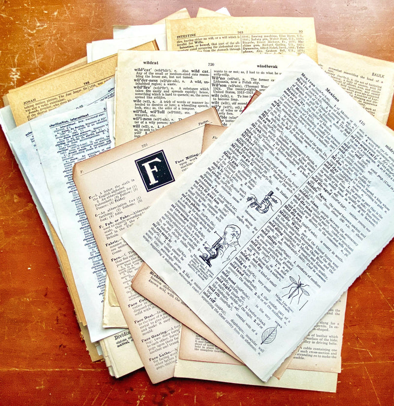 Moonbeam Mercantile - Vintage Dictionary & Encyclopedia Page Bundle