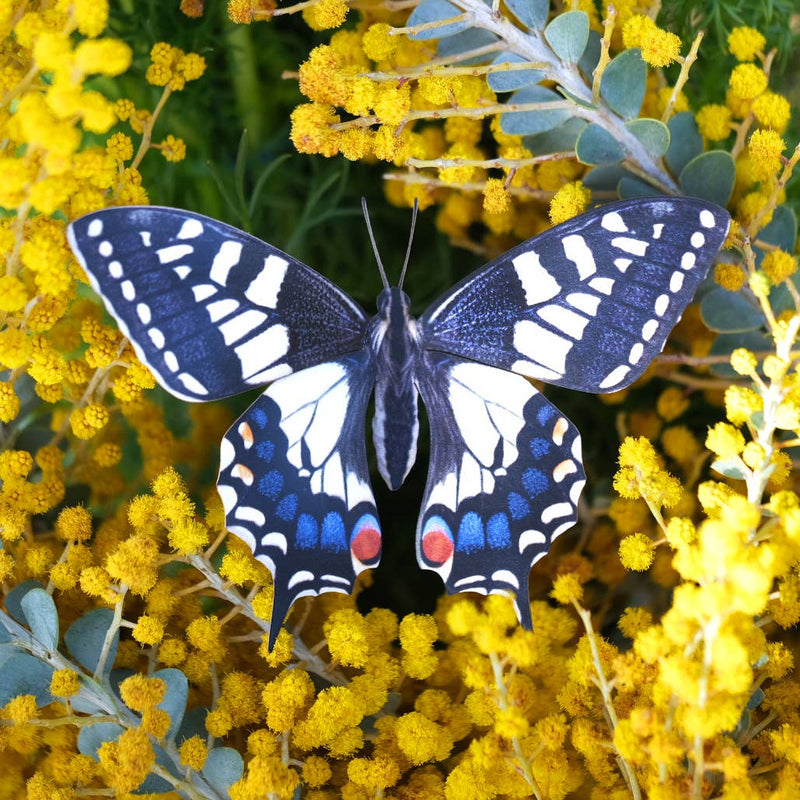 Moth and Myth - "Southwest" 3 Piece Butterfly Set