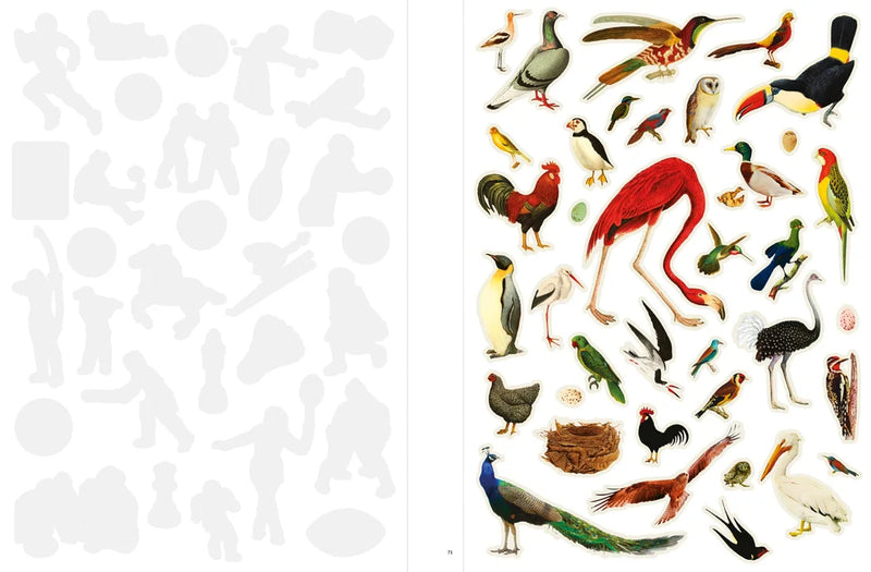 Paula Gonzalez - Even More Extraordinary Things To Cut Out and Collage