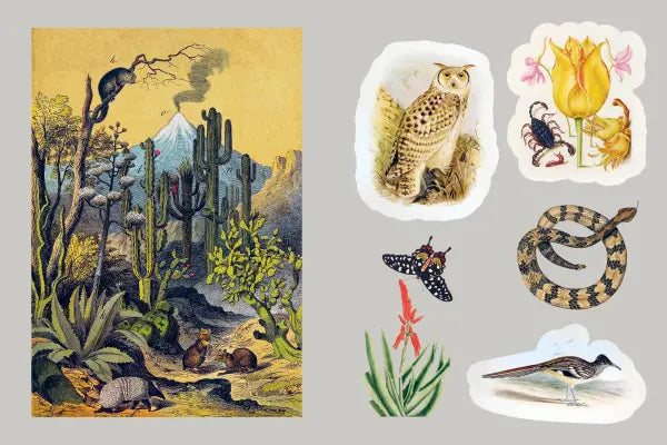 Union Square & Co. - Mystical Earth Sticker Book