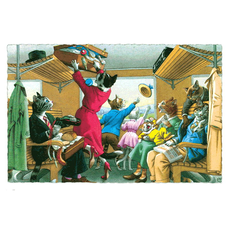 Delightfully Dressed Cats Postcard Box - Everyday Boxed Postcards - Root & Company