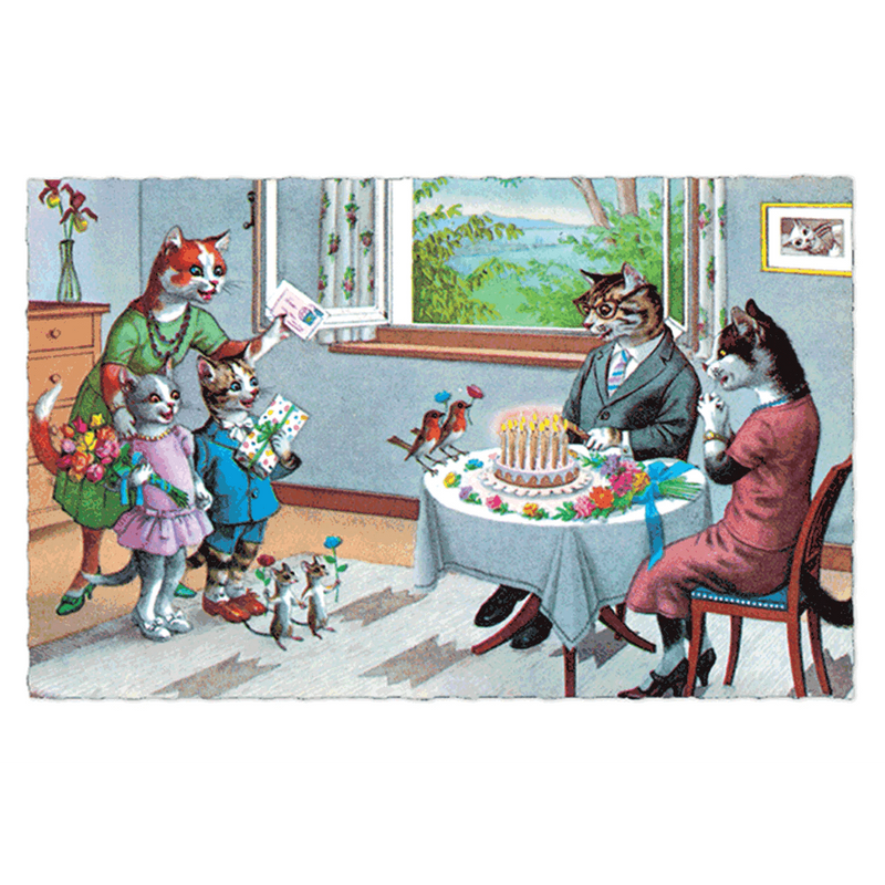 Delightfully Dressed Cats Postcard Box - Everyday Boxed Postcards - Root & Company