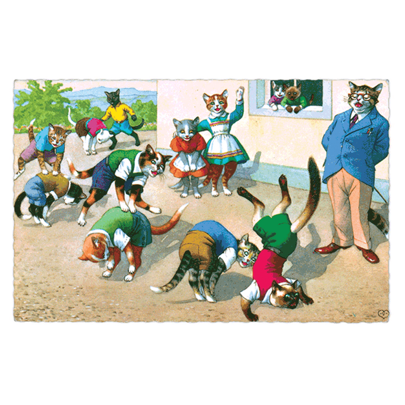 Delightfully Dressed Cats Postcard Box - Everyday Boxed Postcards - Root & Company