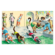 Delightfully Dressed Cats Postcard Box - Everyday Boxed Postcards - Root & Company