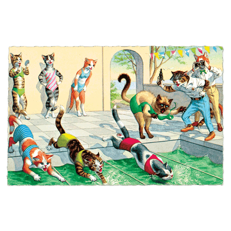 Delightfully Dressed Cats Postcard Box - Everyday Boxed Postcards - Root & Company