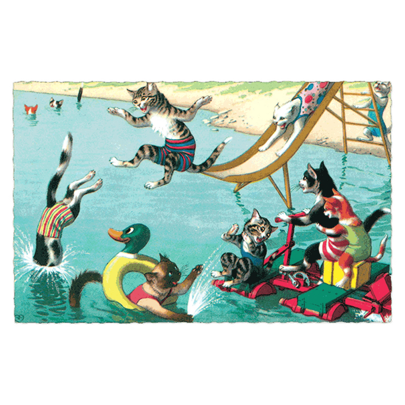 Delightfully Dressed Cats Postcard Box - Everyday Boxed Postcards - Root & Company