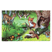 Delightfully Dressed Cats Postcard Box - Everyday Boxed Postcards - Root & Company