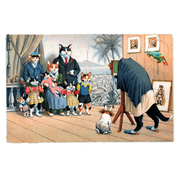 Delightfully Dressed Cats Postcard Box - Everyday Boxed Postcards - Root & Company