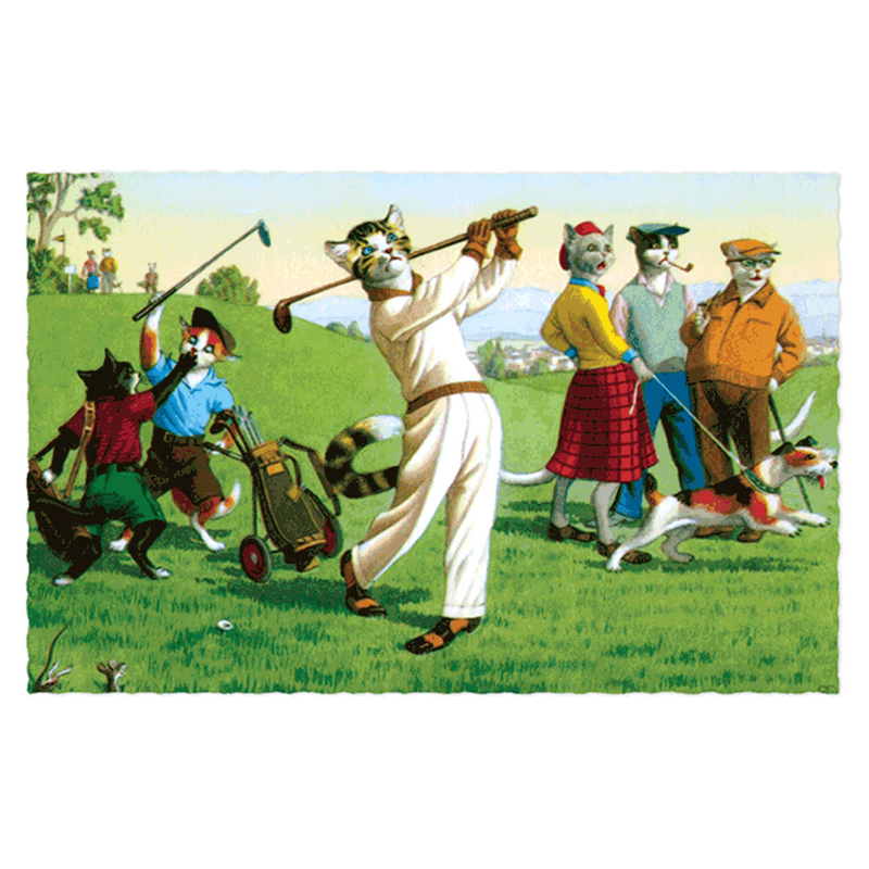 Delightfully Dressed Cats Postcard Box - Everyday Boxed Postcards - Root & Company