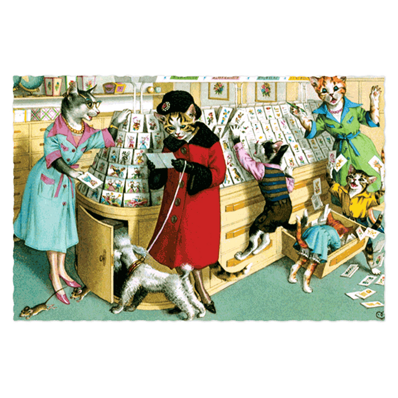 Delightfully Dressed Cats Postcard Box - Everyday Boxed Postcards - Root & Company