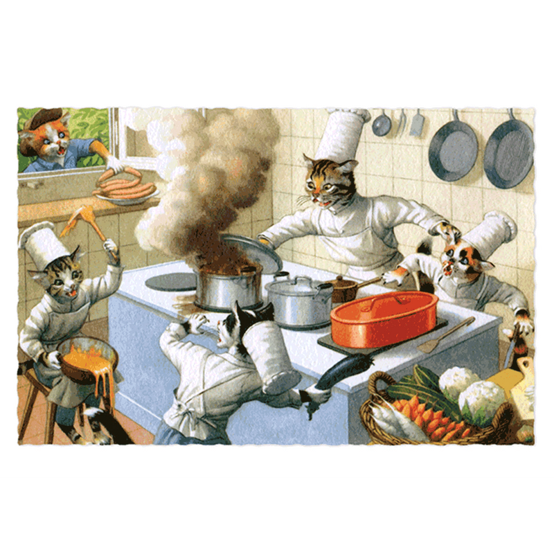 Delightfully Dressed Cats Postcard Box - Everyday Boxed Postcards - Root & Company