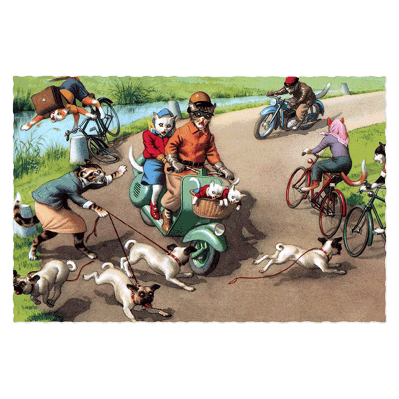 Delightfully Dressed Cats Postcard Box - Everyday Boxed Postcards - Root & Company