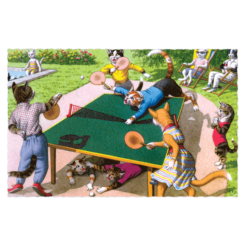 Delightfully Dressed Cats Postcard Box - Everyday Boxed Postcards - Root & Company