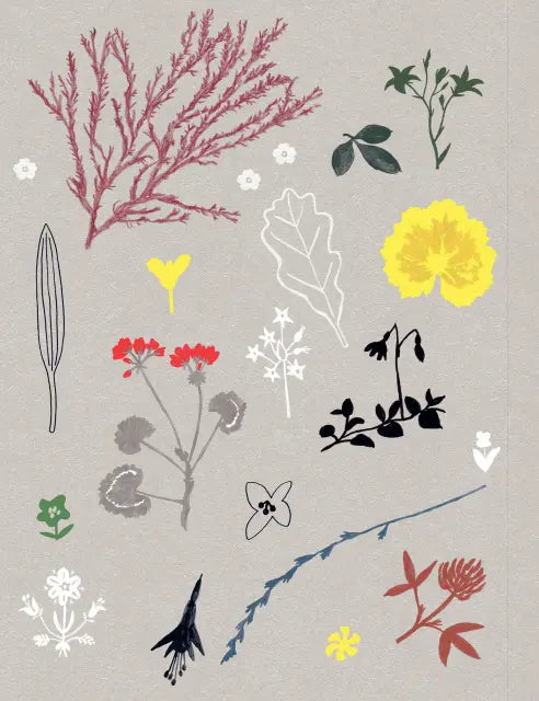 Flow - Paper Book for Nature Lovers