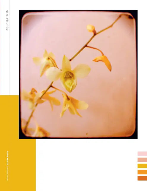 Flow - Paper Book for Nature Lovers