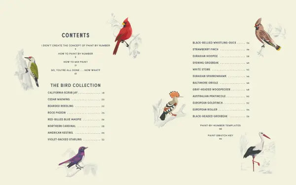 David Trawin - Coloready Birds