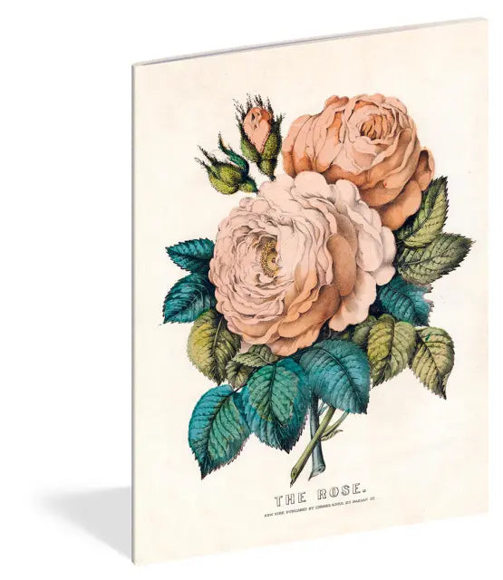John Derian - Everything Roses Notebooks