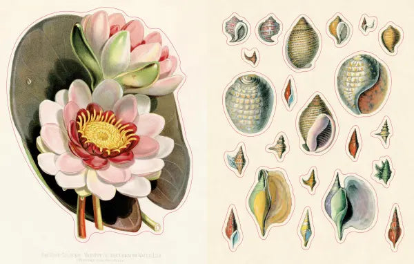 John Derian - Sticker Book II