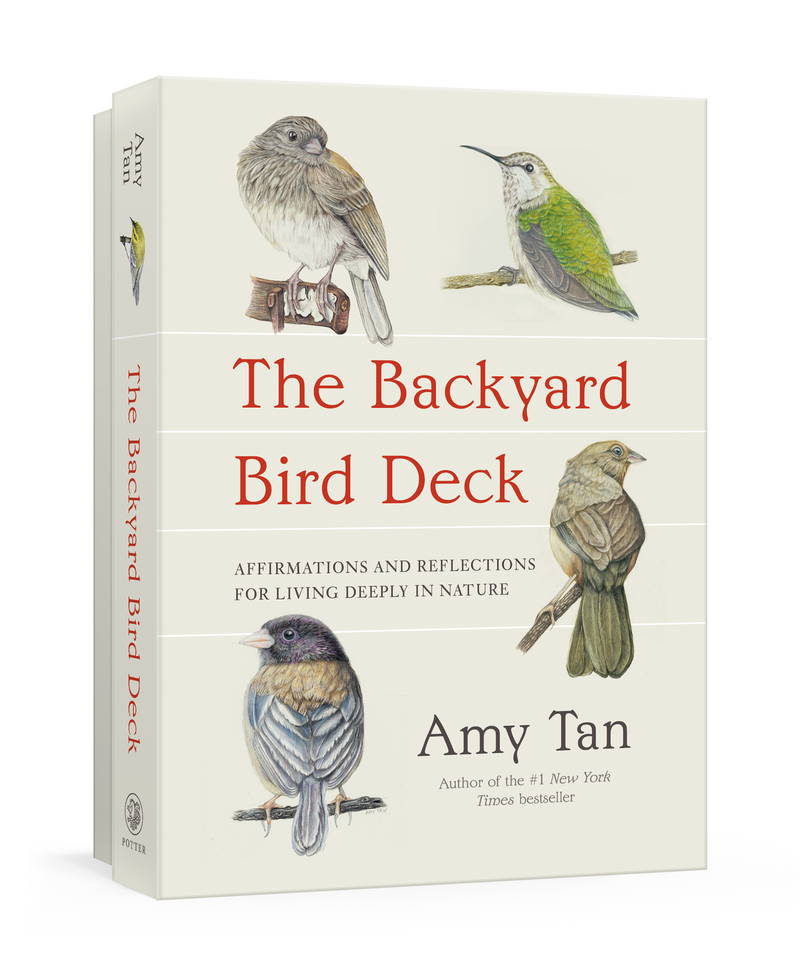 Amy Tann - The Backyard Bird Deck