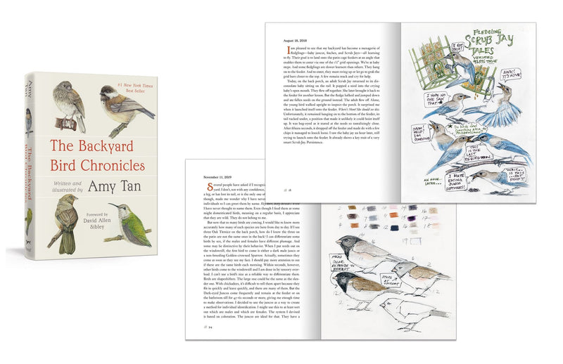Amy Tann - The Backyard Bird Collection [Special Edition, Book & Nature Journal Boxed Set]