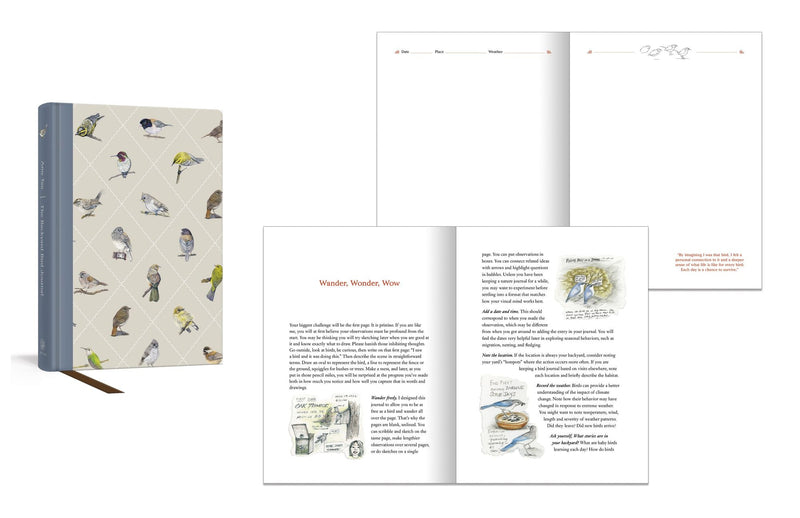 Amy Tann - The Backyard Bird Collection [Special Edition, Book & Nature Journal Boxed Set]