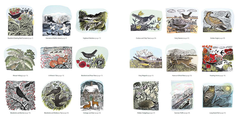 Angela Harding - Wildlife Colouring Book