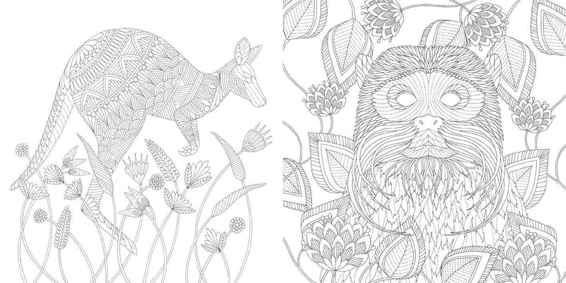 Millie Marotta - Brilliant Beasts Coloring Book