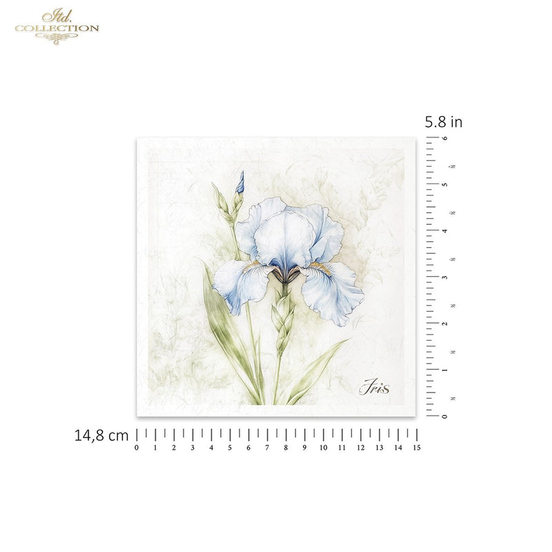 ITD Collection - Rice Paper Set Mini - Floral Shabby Chic - RSM173