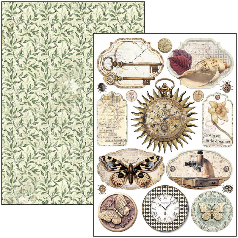 Ciao Bella - Cabinet Of Curiosities - Creative Pad A4