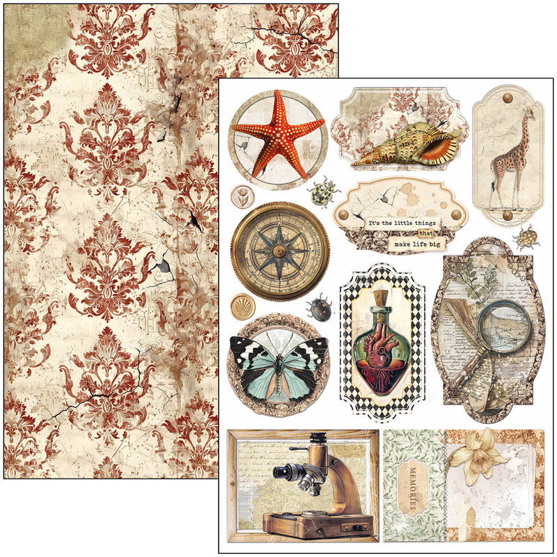 Ciao Bella - Cabinet Of Curiosities - Creative Pad A4