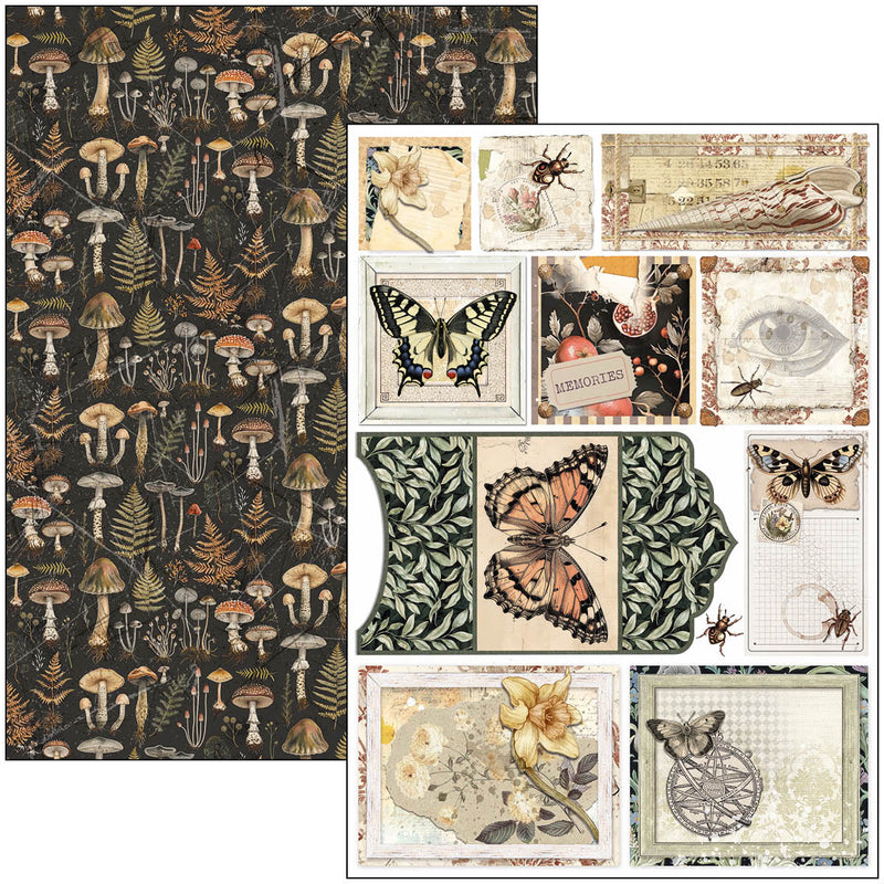 Ciao Bella - Cabinet Of Curiosities - Creative Pad A4