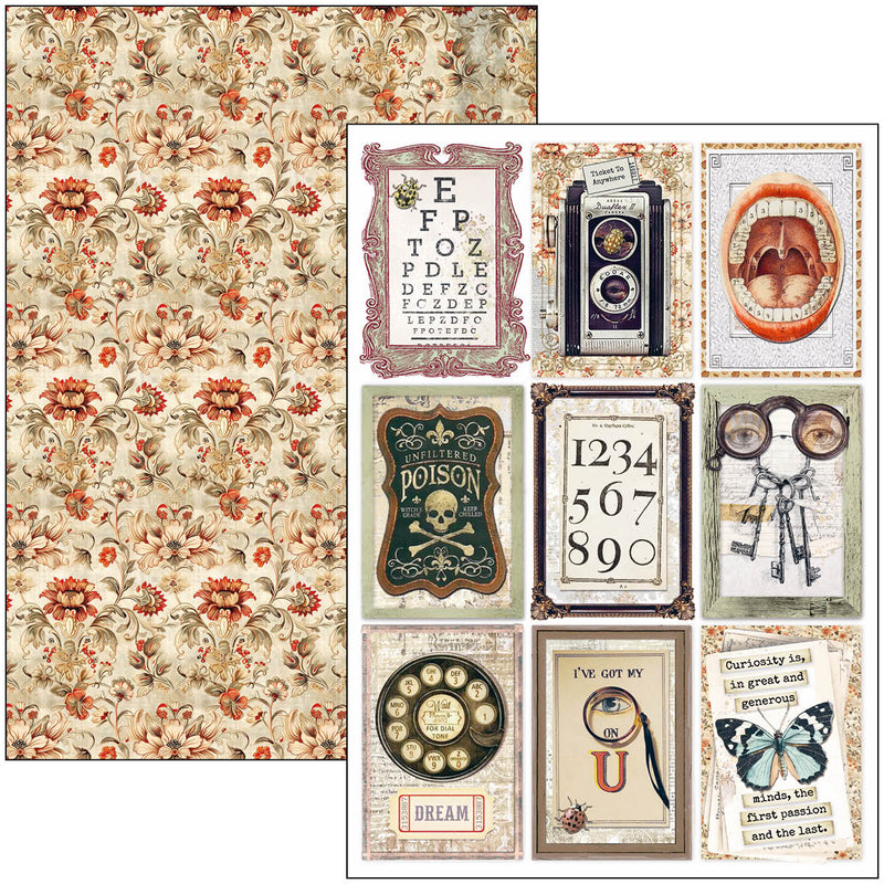 Ciao Bella - Cabinet Of Curiosities - Creative Pad A4