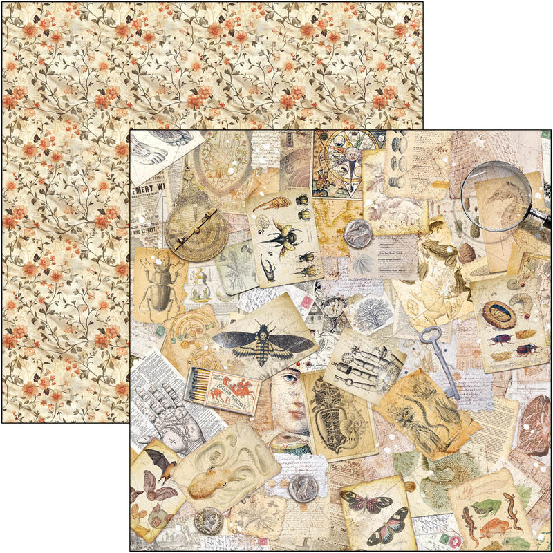 Ciao Bella - Cabinet Of Curiosities - Paper Pad 8"x8"